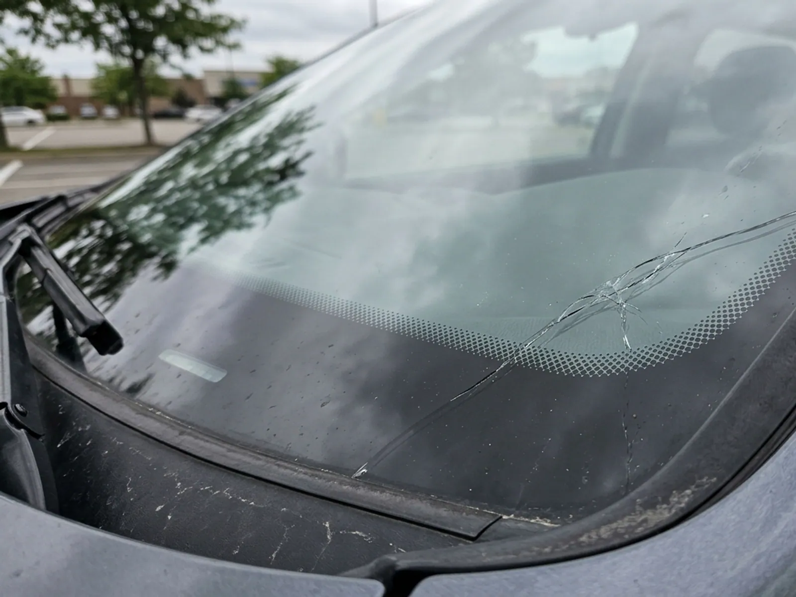 A crack running inward across a windshield from the black ceramic band at its edge.